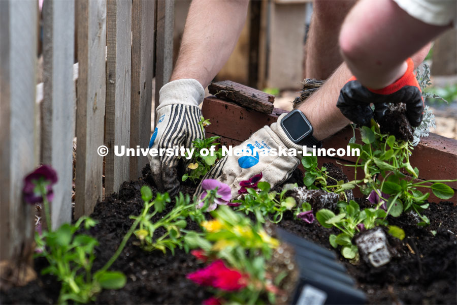 Members of Delta Phi Fraternity plant a fairy garden during the Big Event on Saturday, May 4, 2024. Photo by Kirk Rangel for University Communication.